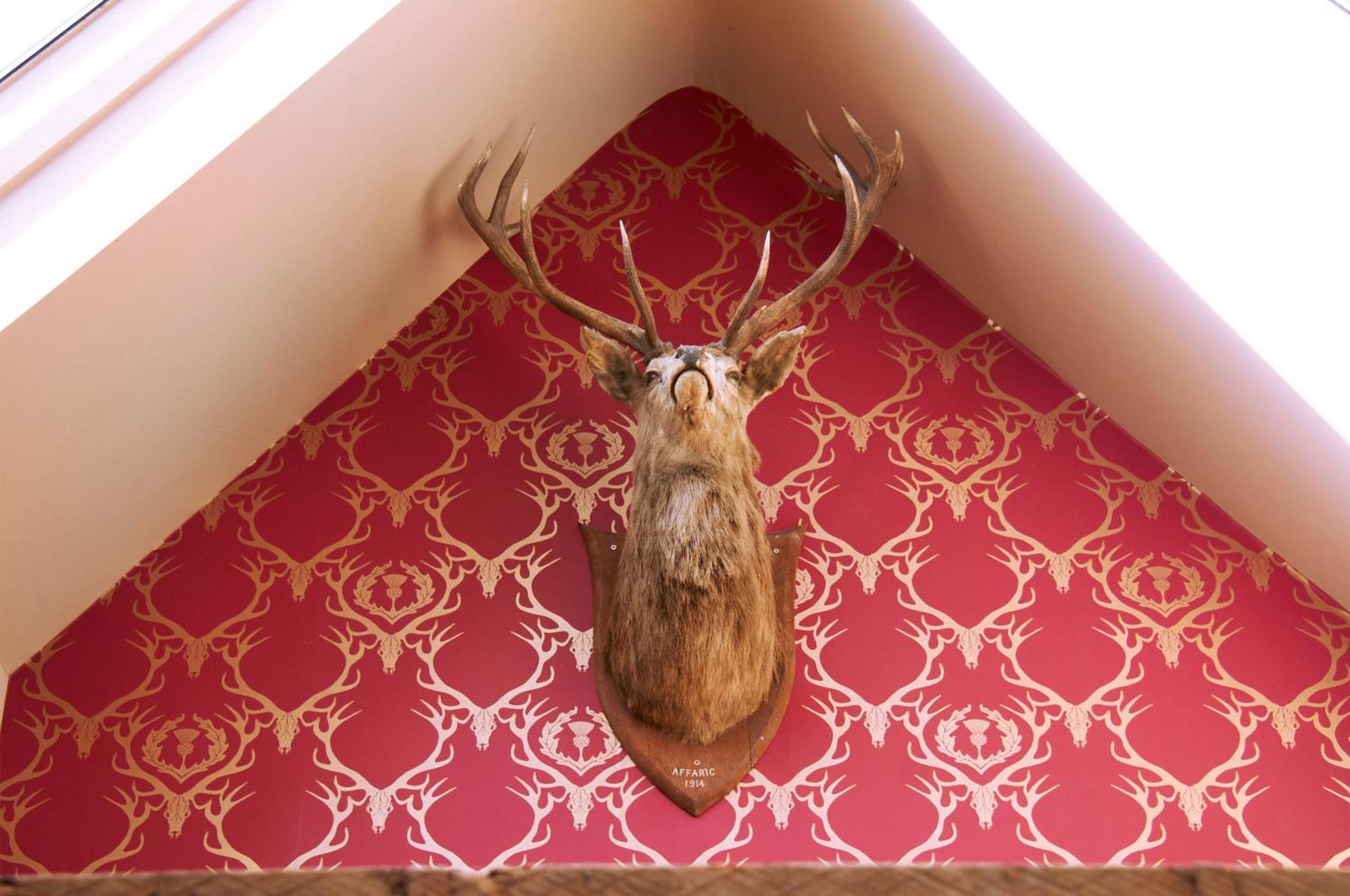 The Museum Inn Farnham  Esterno foto